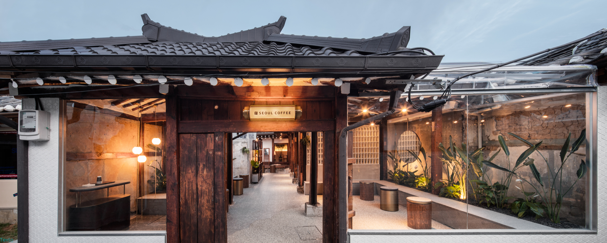 Japón y Corea del Sur: Líderes Globales en el Café de Especialidad