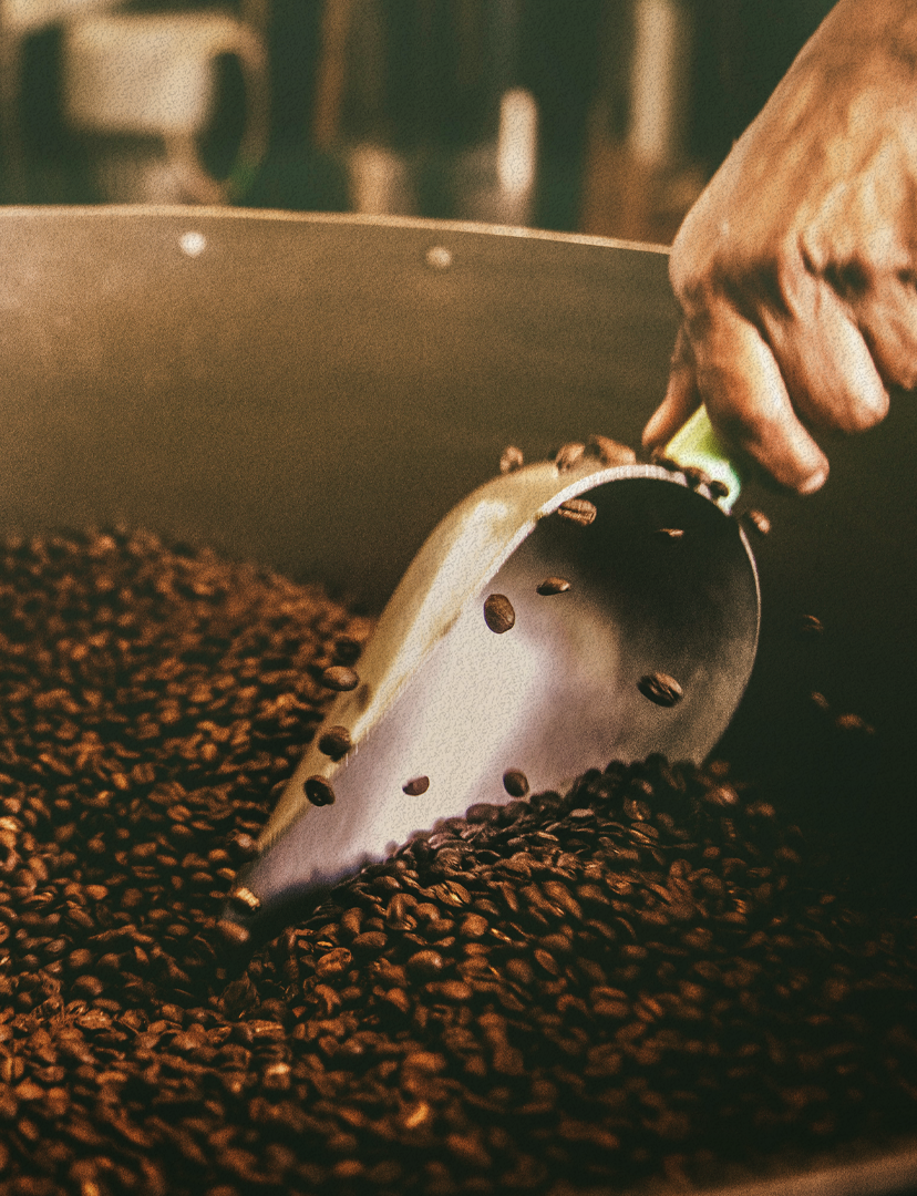 Curso presencial - Tostión