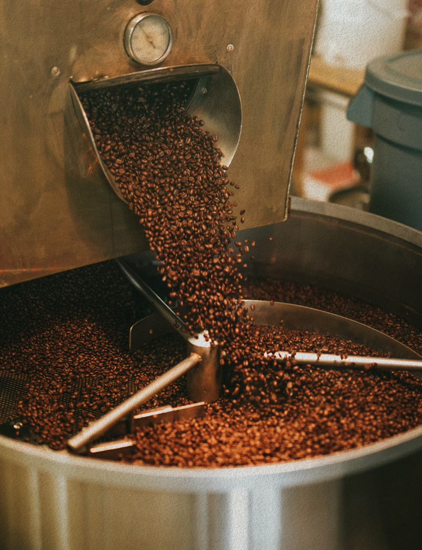 Asesoría Importación de Café