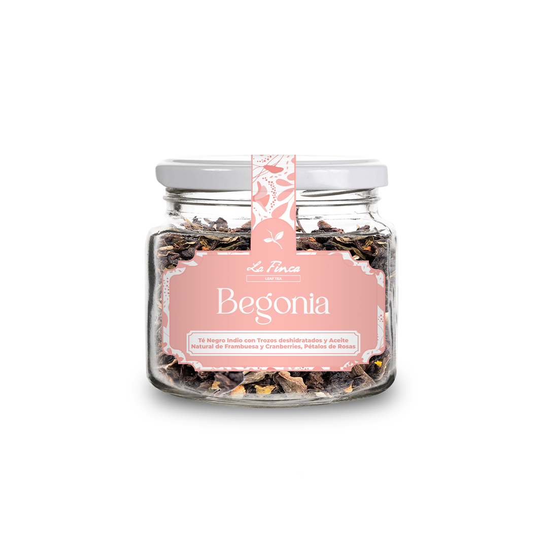 Begonia | Té Negro