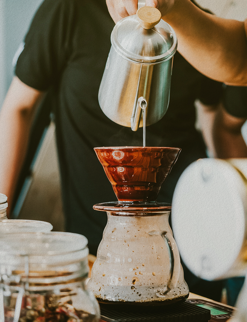 Curso - Pack Cafetero