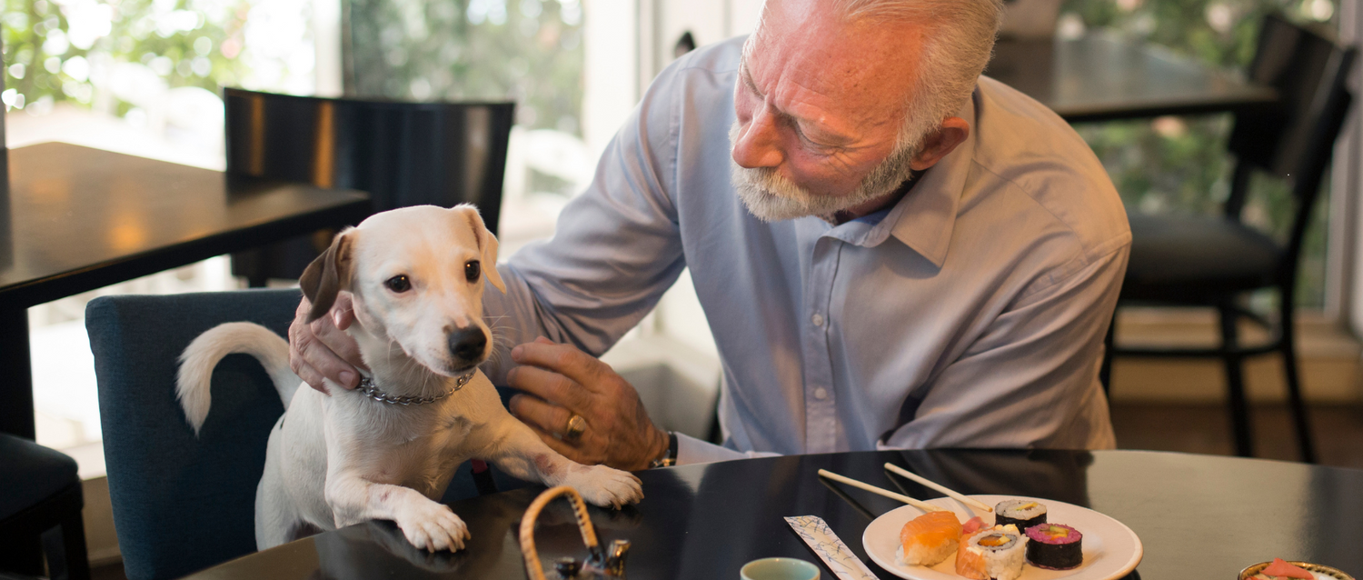 Cafeterías Pet-Friendly: Una Tendencia en Auge